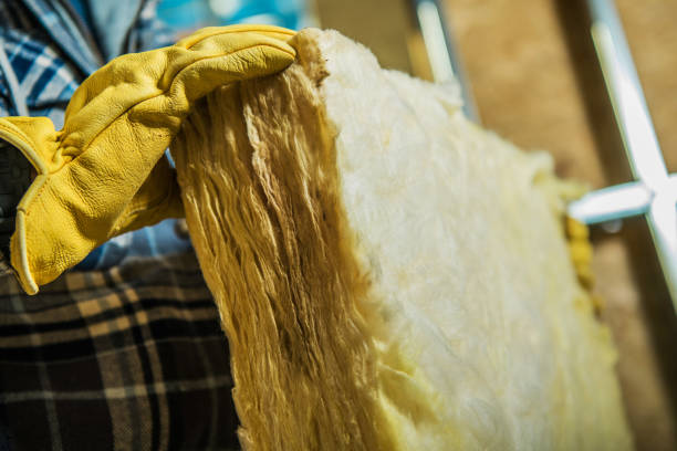 Best Insulation Maintenance and Repair in Lancaster, TX