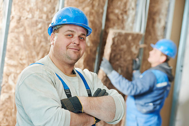 Best Insulation Maintenance and Repair in Lancaster, TX